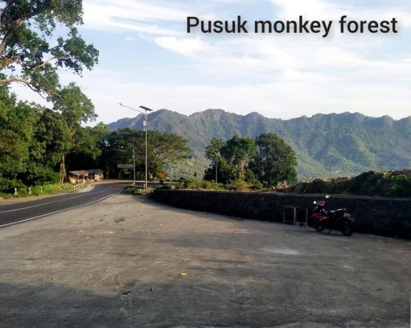 From Gili Island : Waterfalls and Traditional Village Tour - Returning to Gili Islands