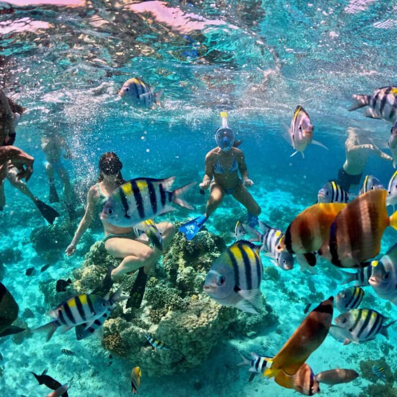 From Gili Meno: Private & Group Gili Islands Snorkeling - FAQ