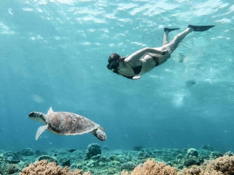 From Gili Meno: Private Snorkeling with Turtle & Statue - Good To Know