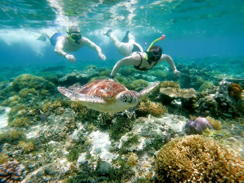 From Gili Meno: Private Snorkeling with Turtle & Statue - Final Thoughts