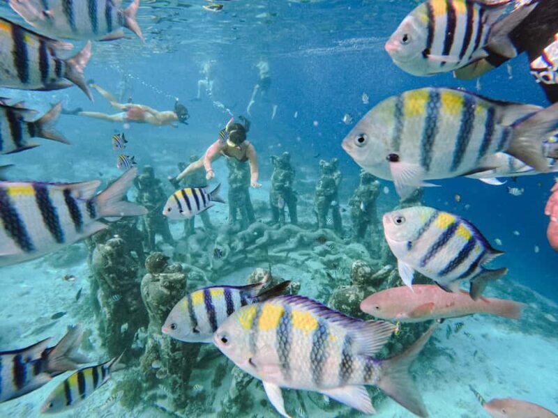 From Gili Meno: Private Snorkeling with Turtle & Statue - The Sum Up