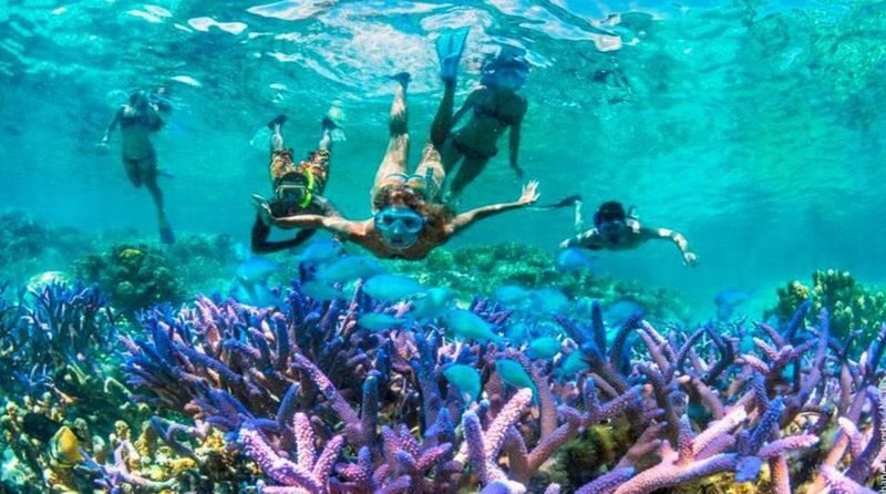 From Gili Terawangan: Island Hopping Snorkeling Trip - From Gili Trawangan to the reef