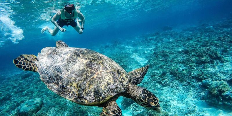 From Gili Terawangan: Island Hopping Snorkeling Trip - Shared boat, shared timing