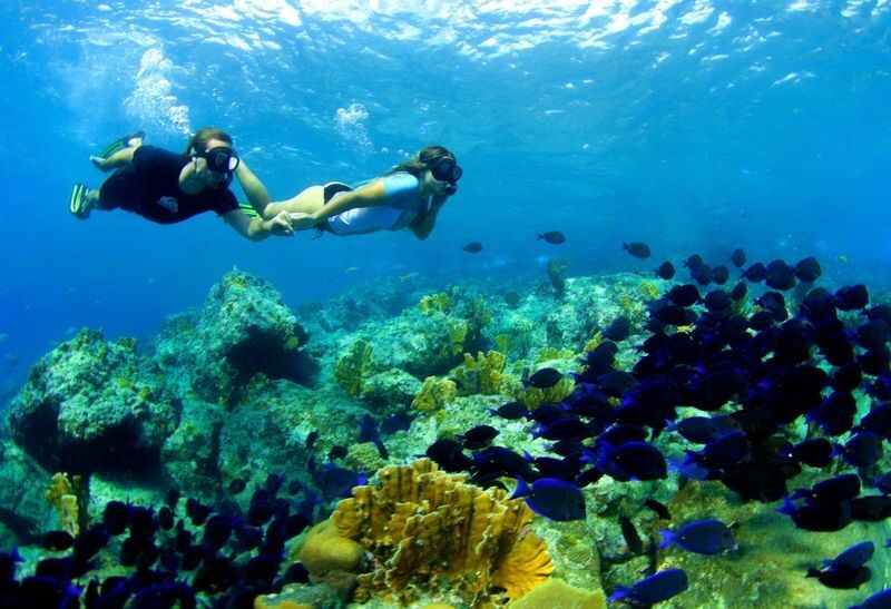 From Gili Terawangan: Island Hopping Snorkeling Trip - The island stops, snacks, and lunch