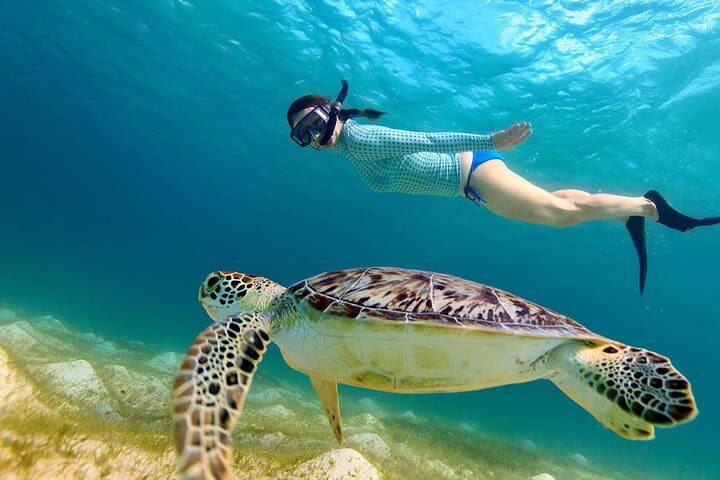 From Gili Terawangan: Island Hopping Snorkeling Trip - Timing, meeting point, and eligibility