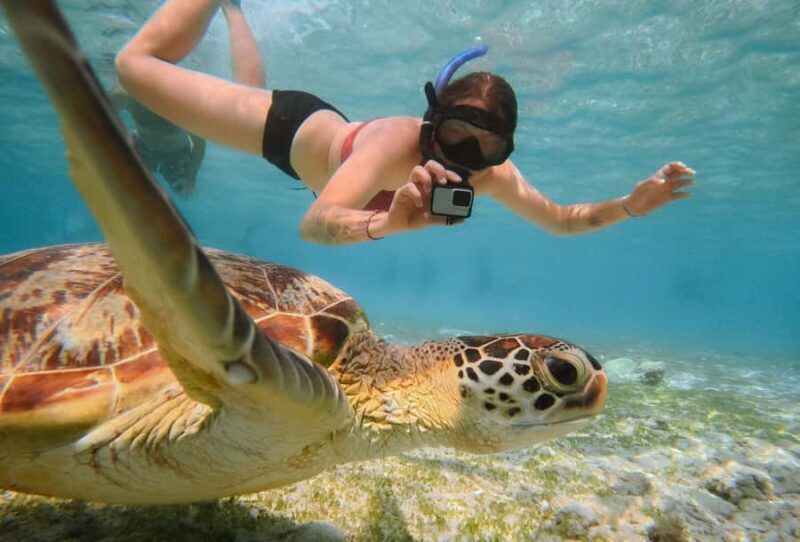 From Gili Trawangan: Gili Islands Snorkeling Boat Tour - What You Can Expect at Each Stop