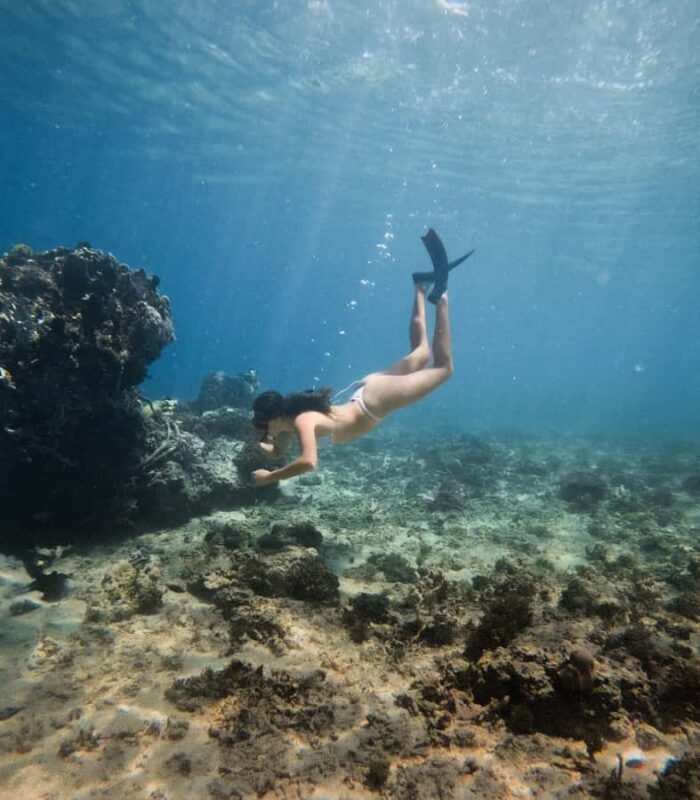 From Gili Trawangan: Gili Islands Snorkeling Boat Tour - Authentic Insights from Guest Reviews