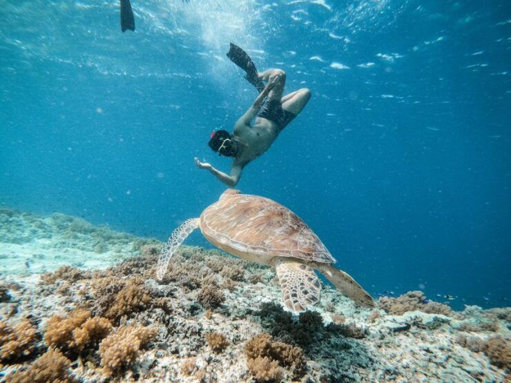 From Gili Trawangan: Gili Islands Snorkeling Tour by Boat - Duration and Starting Times