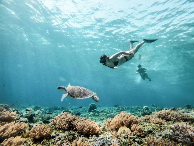 From Gili Trawangan: Gili Islands Snorkeling Tour by Boat - Exploring Underwater Statues and Marine Life