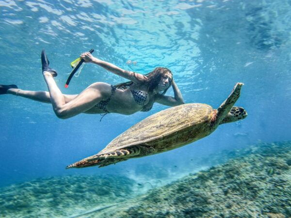 From Gili Trawangan: Gili Islands Snorkeling Tour by Boat - The Sum Up