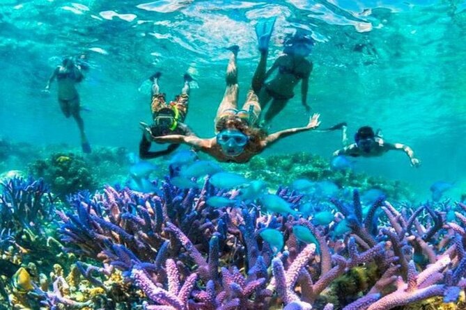 From Gili Trawangan: Island Hopping Snorkeling (Shared Trip) - Trip Overview