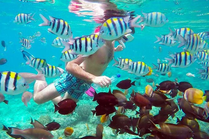 From Gili Trawangan: Island Hopping Snorkeling (Shared Trip) - Snorkeling Locations