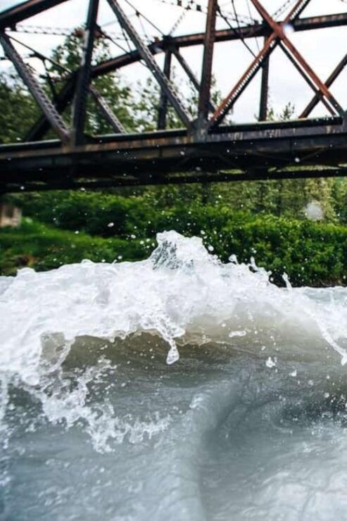 From Girdwood or Anchorage: Spencer Glacier Float & Railroad - Experience Highlights