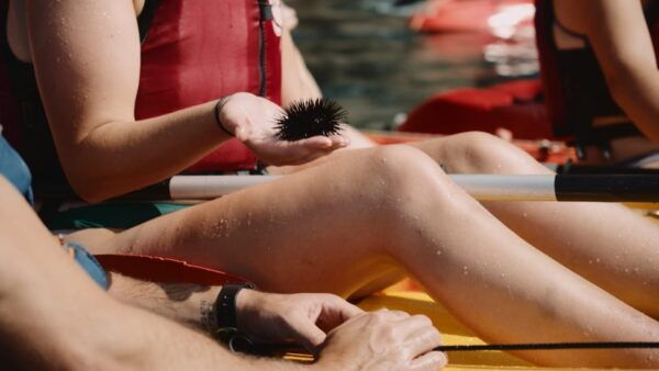 From Girona: Excursion to the Costa Brava With Kayak and Snorkel - Discover the Wild Costa Brava
