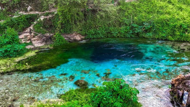 From Gjirokastër: Blue Eye, Butrint, and Saranda Tour - What to Expect During the Tour