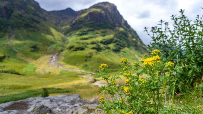 From Glasgow: Loch Ness, Glencoe and Scottish Highlands Trip - Transportation and Comfort