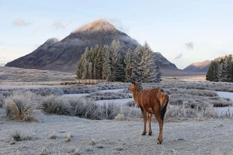 From Glasgow: Oban, Glencoe & Highlands Day Tour - Good To Know