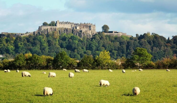 From Glasgow; Stirling and Scenic District 7 Hour Tour - Good To Know