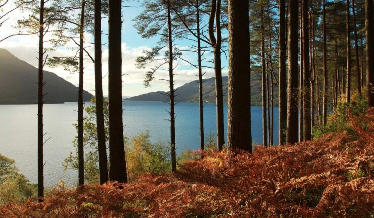 From Glasgow: Stirling Castle, Loch Lomond and Cruise Tour - Tour Highlights and Itinerary Details