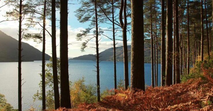 From Glasgow: Stirling Castle, Loch Lomond and Cruise Tour - Inclusions and Exclusions
