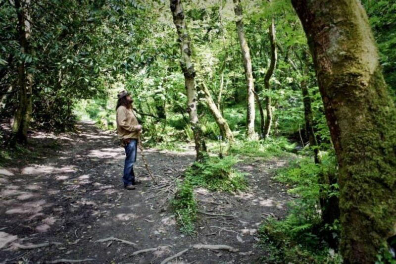 From Glastonbury: 2-Day Tintagel, Boscastle & Dartmoor Tour - What Makes This Tour Stand Out