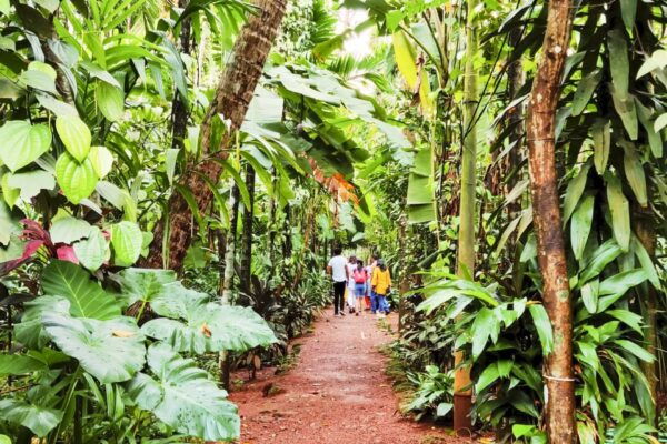 From Goa: Dudhsagar Waterfalls & Plantation Tour - Common Questions