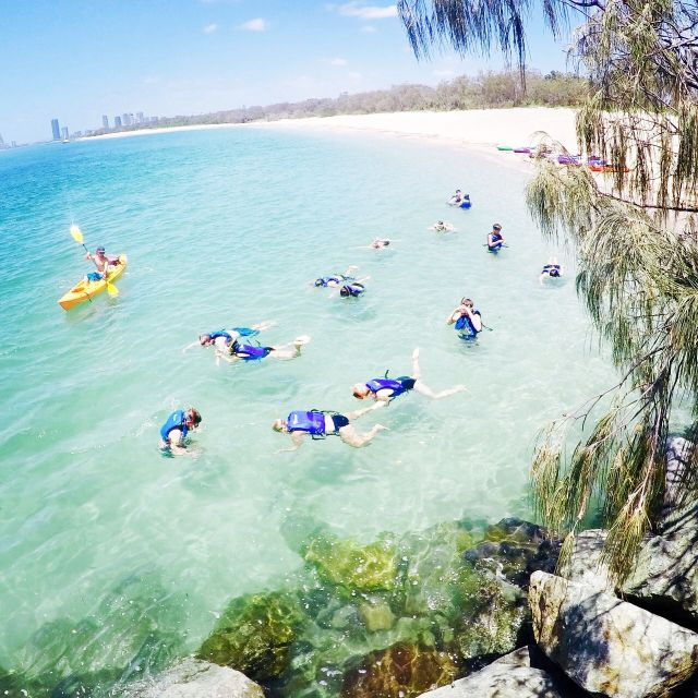 From Gold Coast: Kayaking & Snorkelling Tour With Breakfast - Experience Highlights