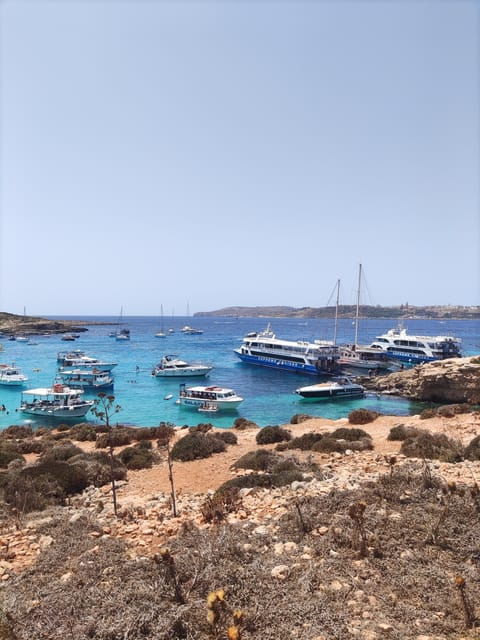 From Gozo & Cirkewwa: Full-Day Comino & Blue Lagoon Cruise - Overview of the Activity