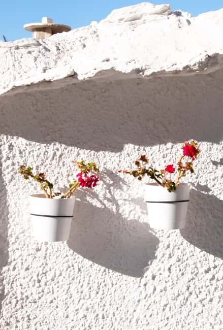 From Granada: Alpujarra Region Full Day Tour - Who Should Consider This Tour?