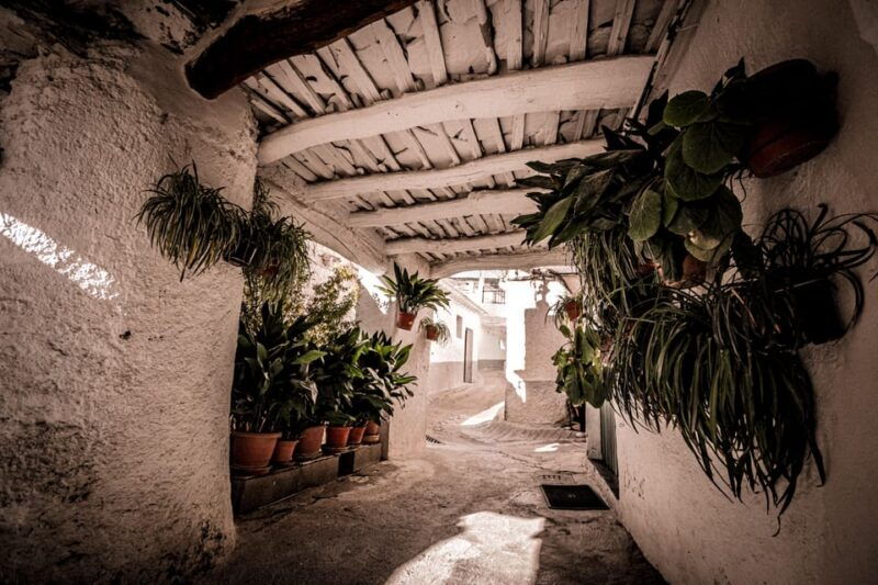 From Granada: Alpujarra Region Full Day Tour - Itinerary and Highlights