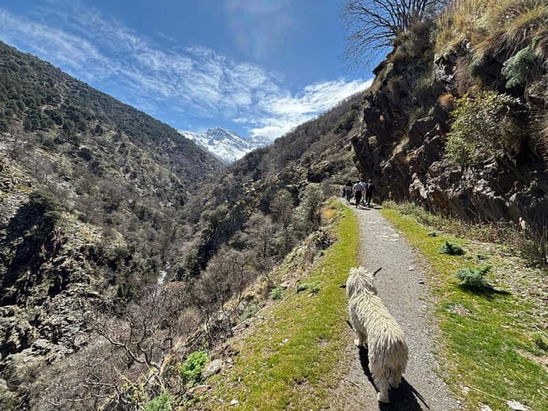 From Granada: High Sierra Nevada hiking experience - A Comprehensive Look at the Sierra Nevada Hiking Experience