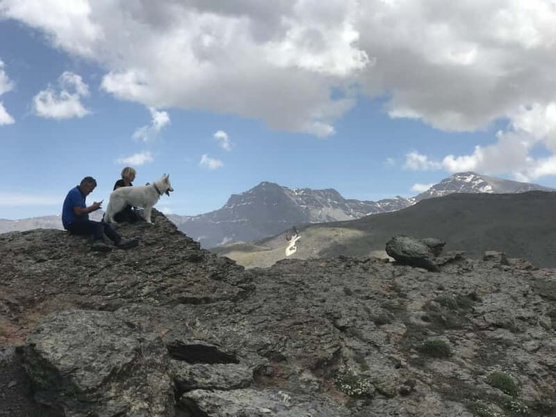 From Granada: High Sierra Nevada hiking experience - Who Is This Tour Best For?