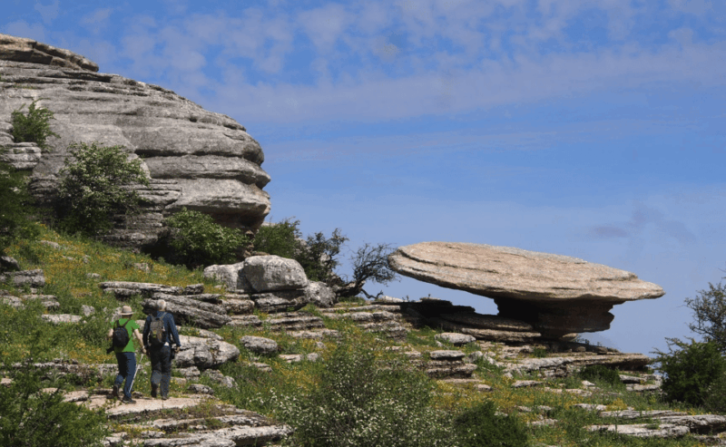 From Granada: Lobo Parque and Torcal De Antequera, Adventure Excursion - Pickup Locations and Transportation