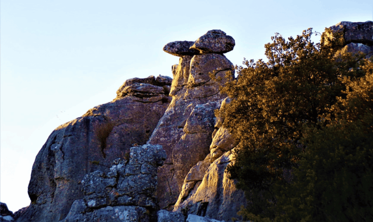 From Granada: Lobo Parque and Torcal De Antequera, Adventure Excursion - Frequently Asked Questions