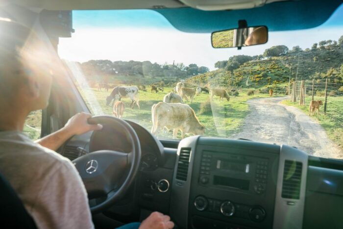 From Granada: Sierra Nevada Safari Tour to 2500 Meters - Panoramic Views and Mountain Silence