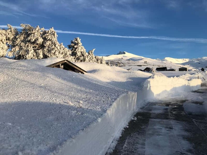 From Granada: Sierra Nevada Safari up to 2500 meters high - Good To Know