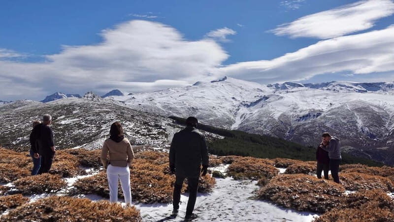 From Granada: Sierra Nevada Safari up to 2500 meters high - Verdict: Is It Worth It?