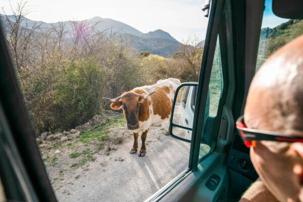 From Granada: Sierra Nevada Small Group 4WD Tour - Common Questions