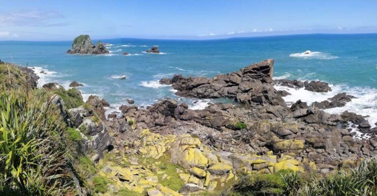 From Greymouth: Highlights West Coast Day Tour - Highlights and Experiences