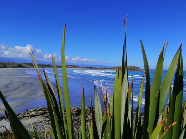 From Greymouth: Highlights West Coast Day Tour - The Sum Up