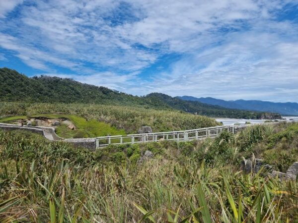 From Greymouth: Punakaiki Blowholes & Pancake Rocks Tour - Itinerary