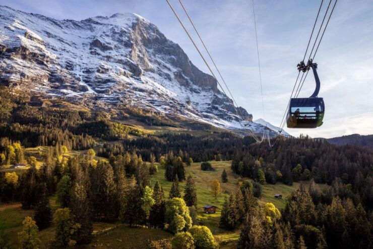 From Grindelwald: Jungfraujoch Round-Trip Railway Ticket - Ticket Information