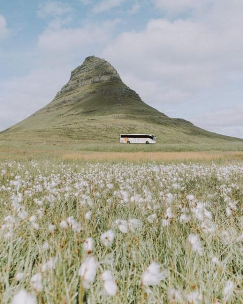 From Grundarfjörður: Snæfellsnes Peninsula Half-Day Tour - Arnarstapi Fishing Village