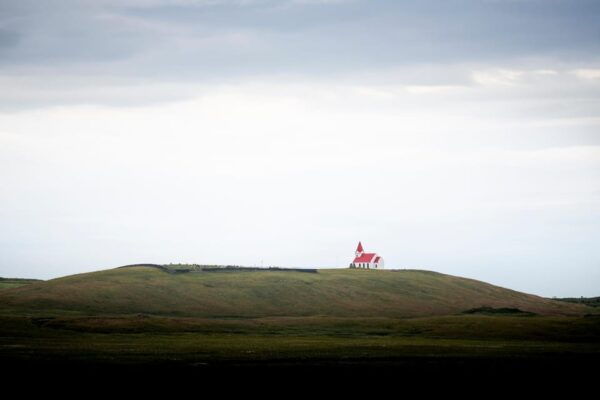 From Grundarfjörður: Snæfellsnes Peninsula Half-Day Tour - Tour Experience and Inclusions
