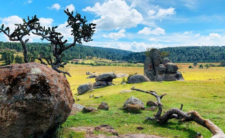 From Guadalajara: Tapalpa and Attaco Private Tour - Tour Details