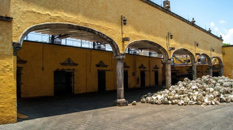 From Guadalajara: Tequila Day Trip With Jose Cuervo Option - Experience Highlights