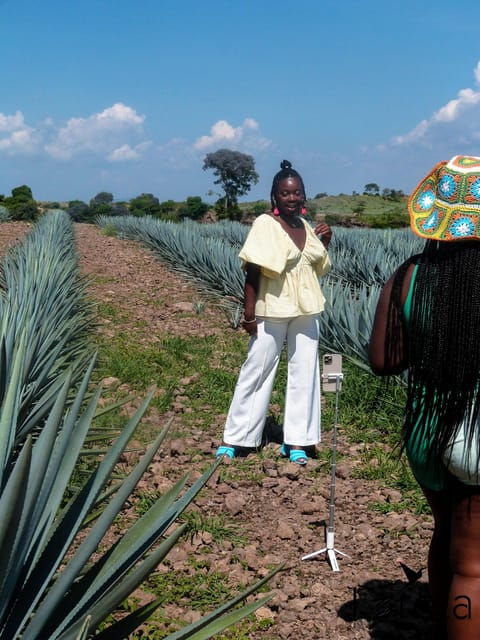 From Guadalajara: Tequila Factory and Panoramic Swing Tour - Itinerary Highlights
