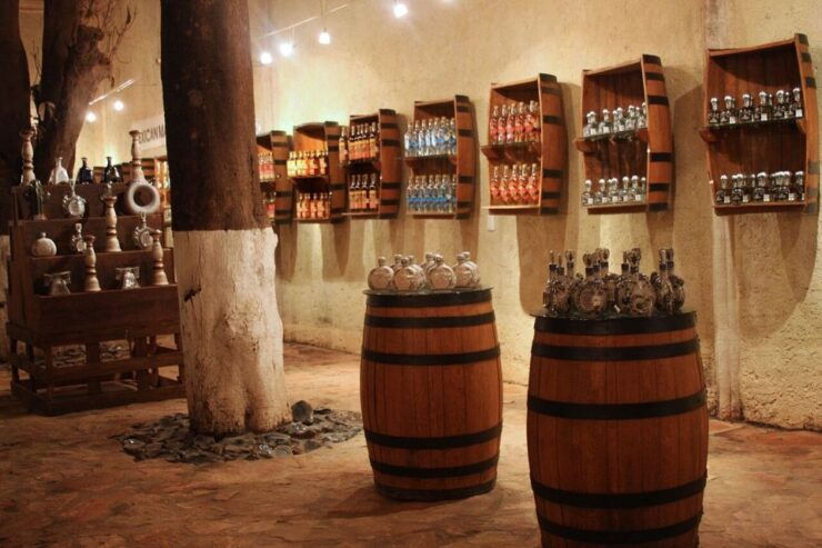 From Guadalajara: Tequila Tour & Tequila Tasting in Hacienda - Good To Know