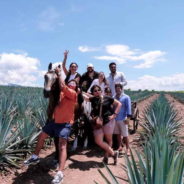 From Guadalajara: VIP Tequila Tour - Frequently Asked Questions