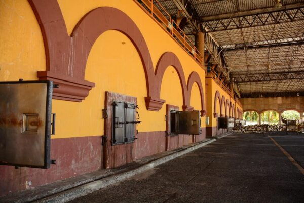 From Guadalajara: Visiting Hacienda Casa Herradura. Unique! - Visitor Recommendations and Restrictions